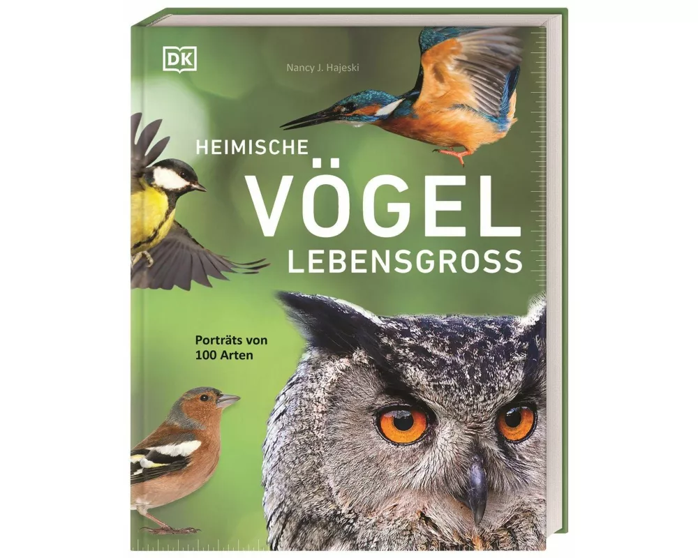 Heimische Vögel lebensgroß