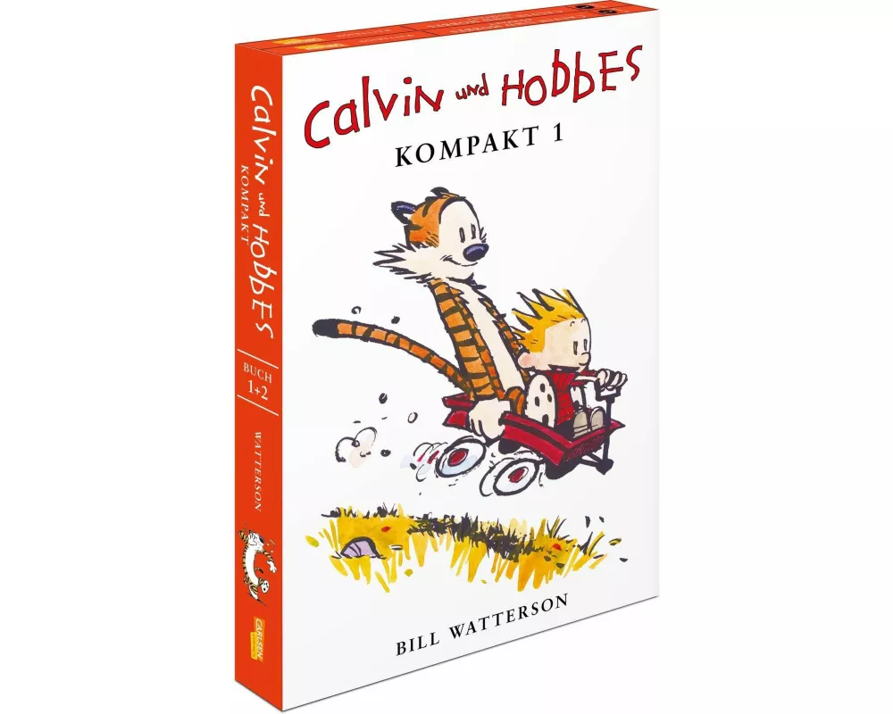 Calvin und Hobbes Kompakt 1