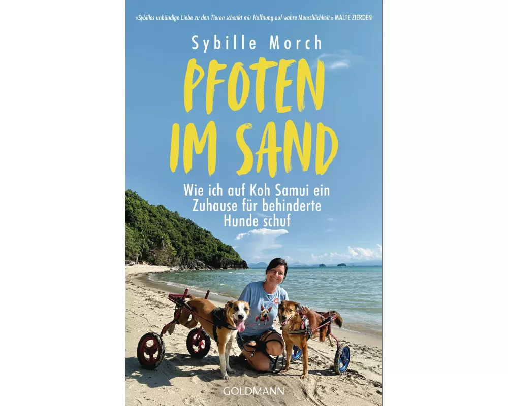 Pfoten im Sand