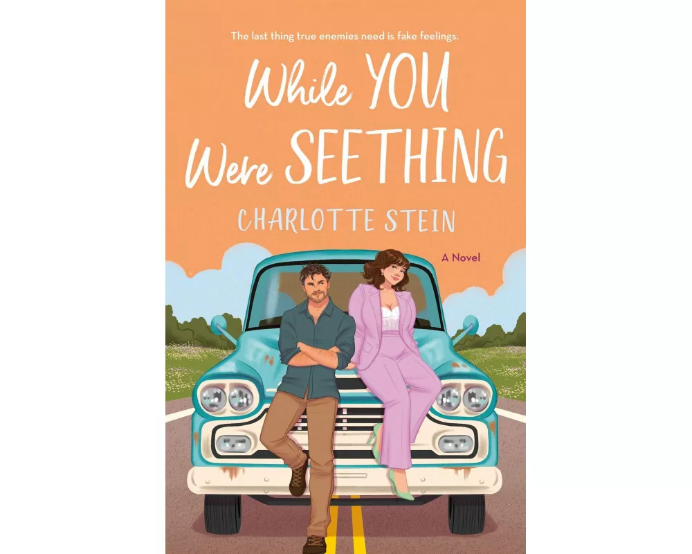While You Were Seething