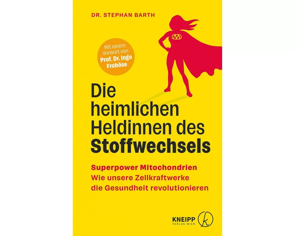 Die heimlichen Heldinnen des Stoffwechsels