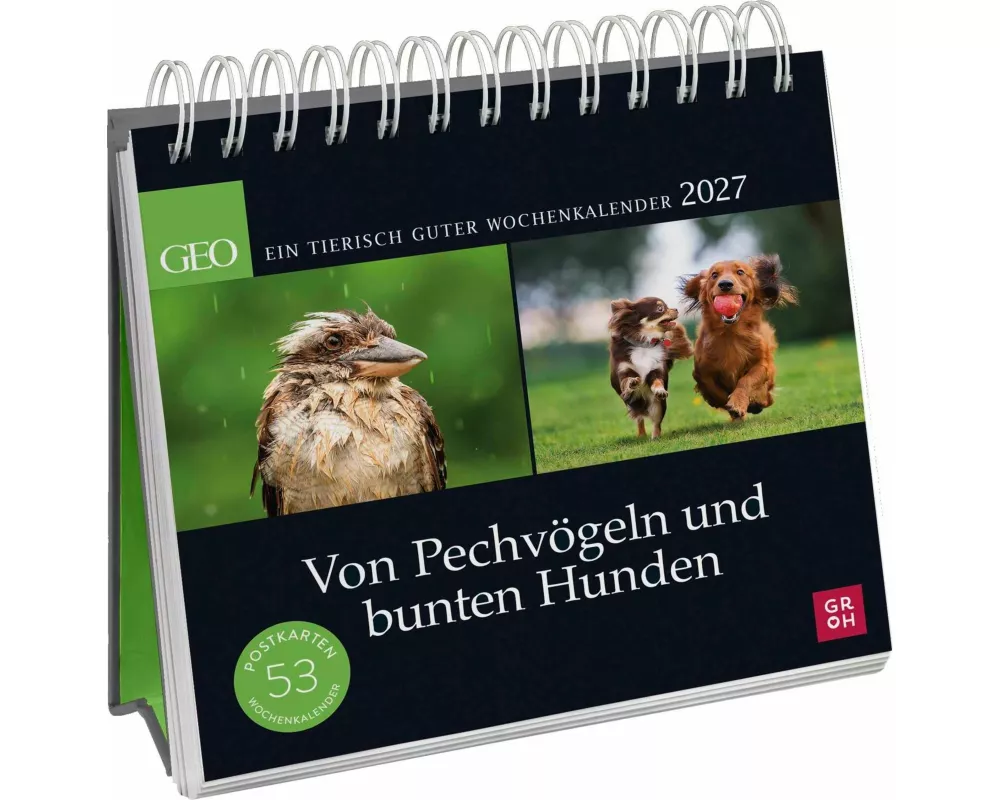 Postkartenkalender 2027: Von Pechvögeln und bunten Hunden