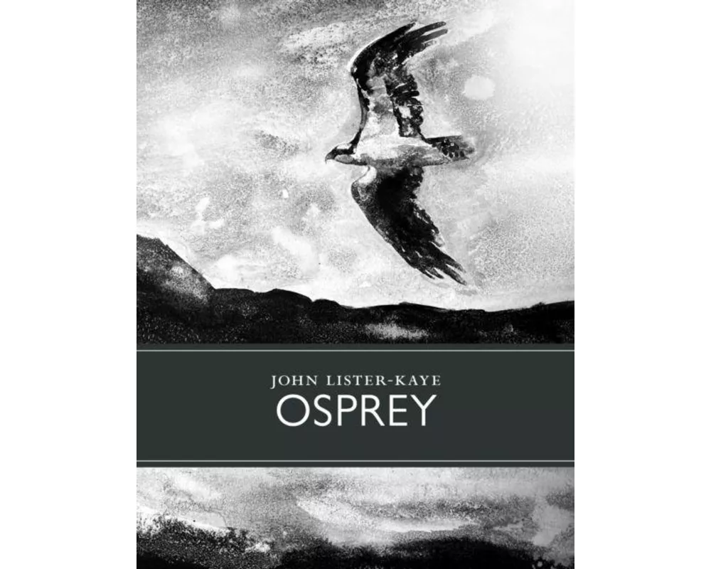 Osprey