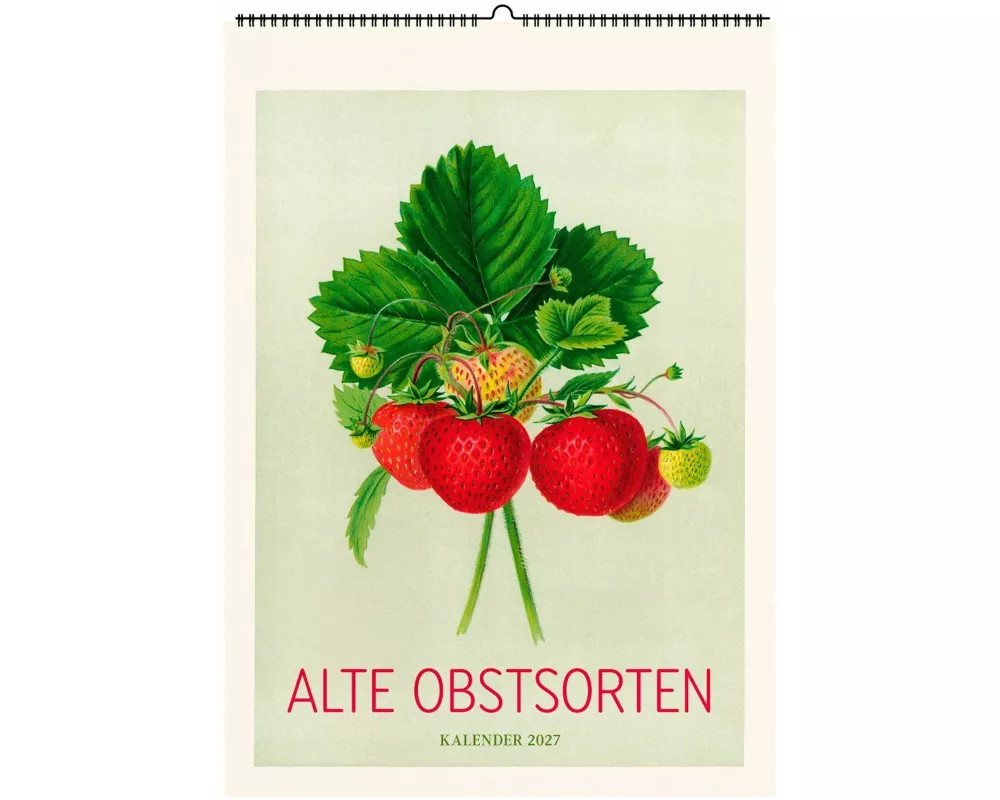 Alte Obstsorten. Wandkalender 2027