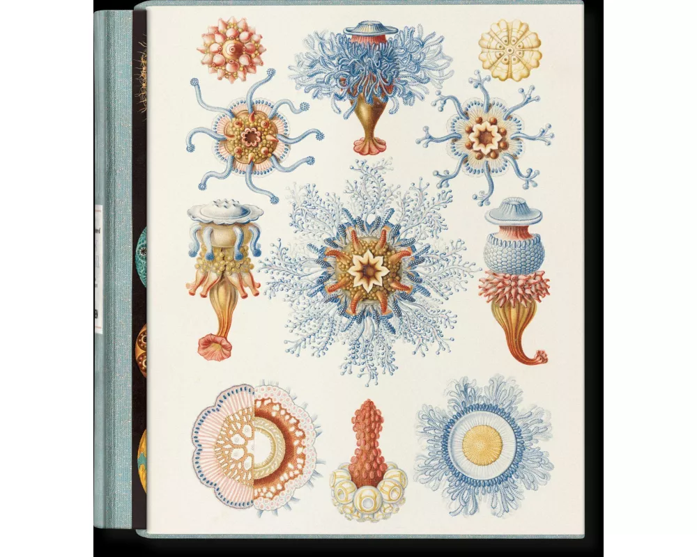 The Art and Science of Ernst Haeckel
