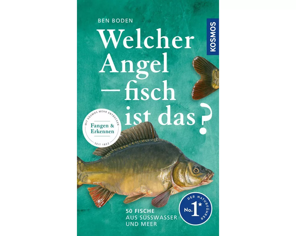 Welcher Angelfisch ist das?