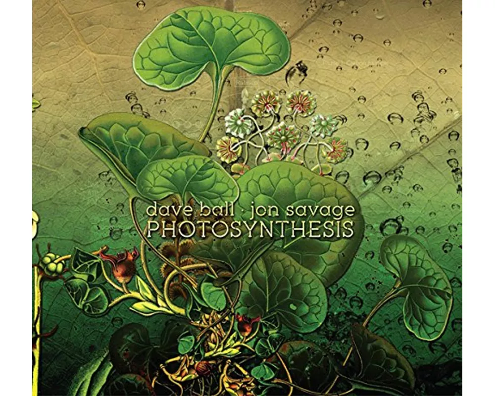 Photosynthesis