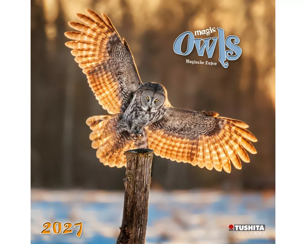 Magic Owls 2027