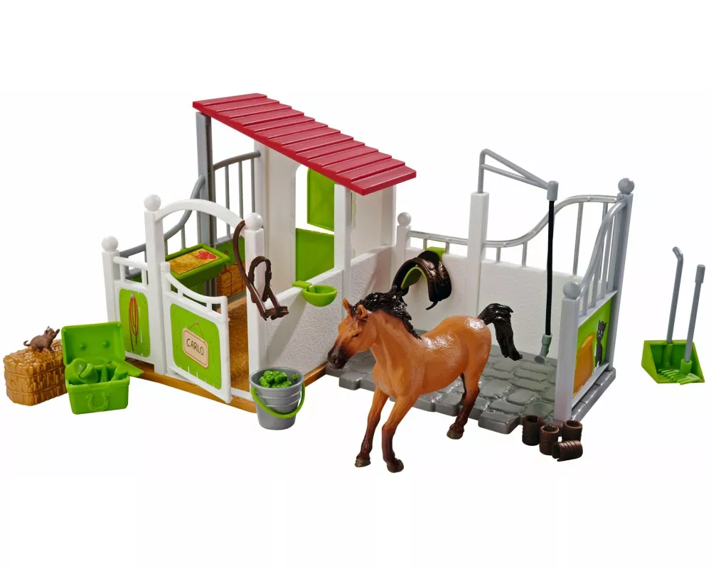 Pferdebox und Waschplatz mit Pferd