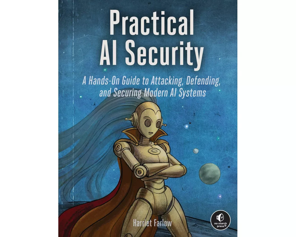 Practical AI Security