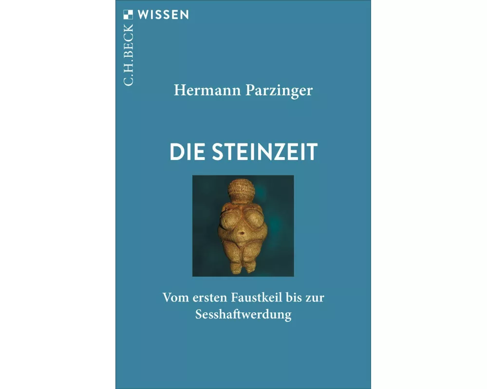 Die Steinzeit