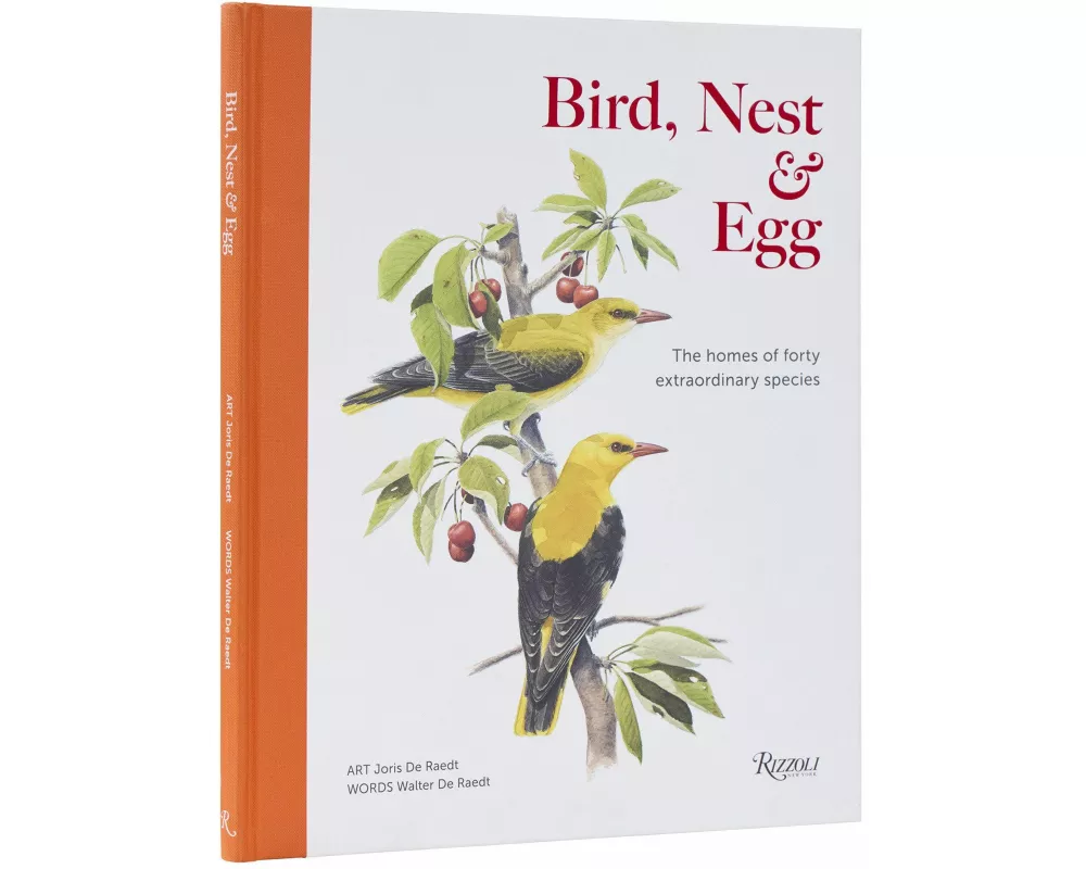 Bird, Nest & Egg
