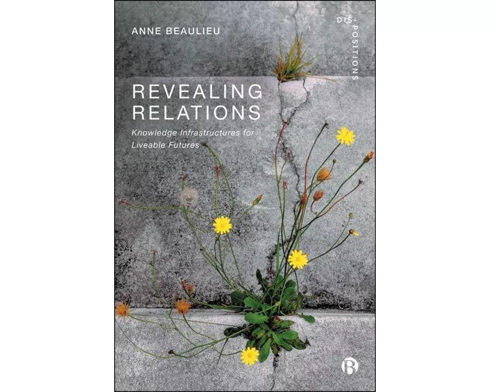 Revealing Relations