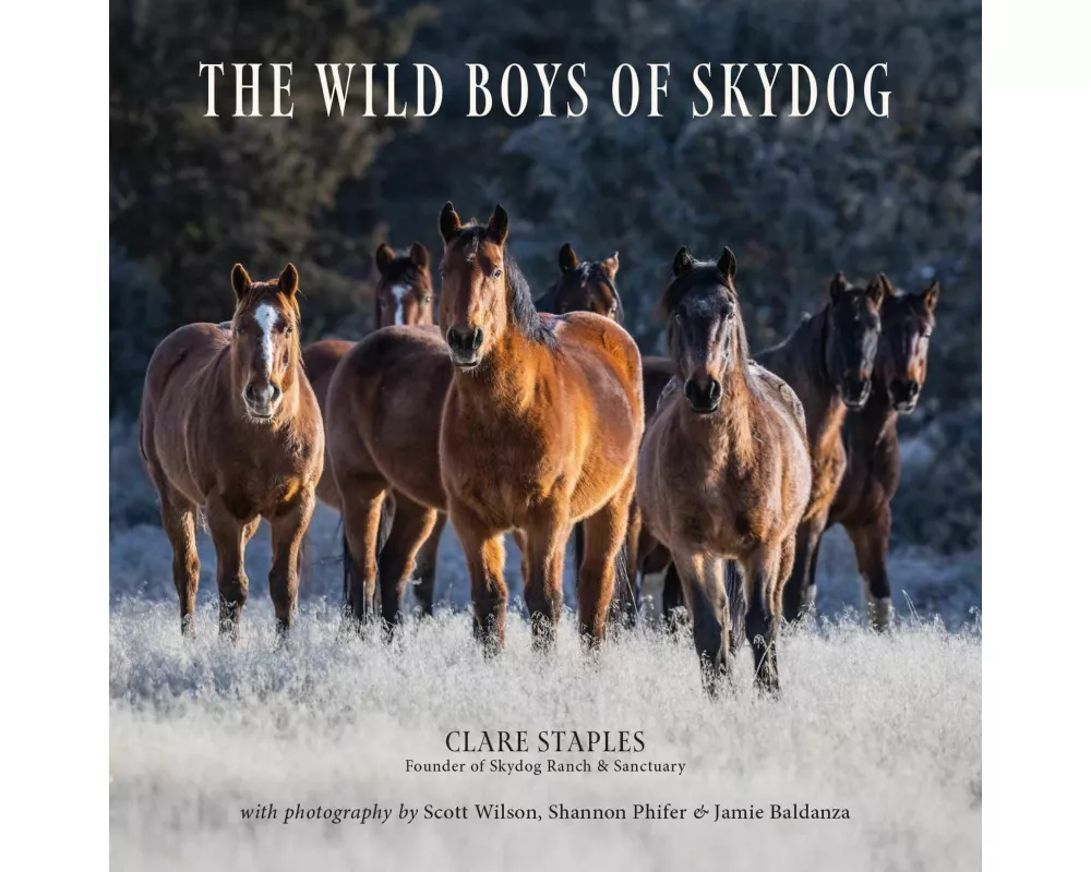 The Wild Boys of Skydog