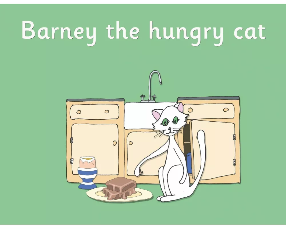 Barney the hungry cat