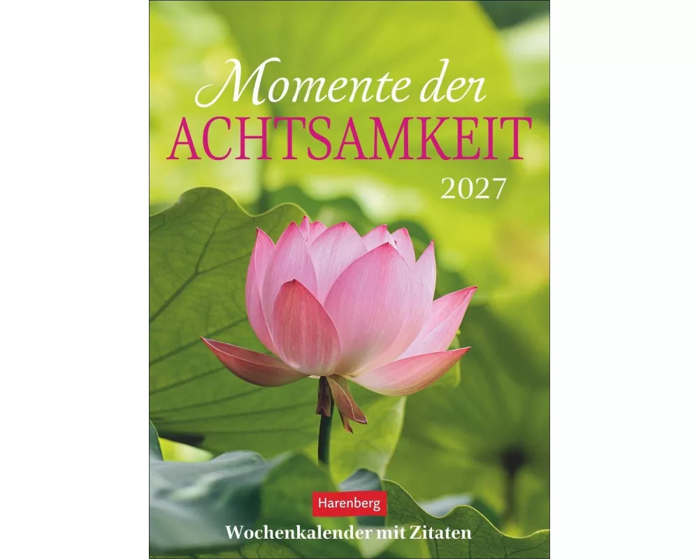 Momente der Achtsamkeit Wochenkalender 2027 - Wochenkalender mit Zitaten