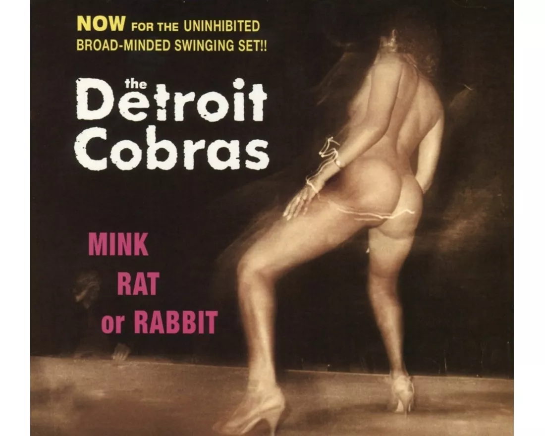 Mink,Rat Or Rabbit
