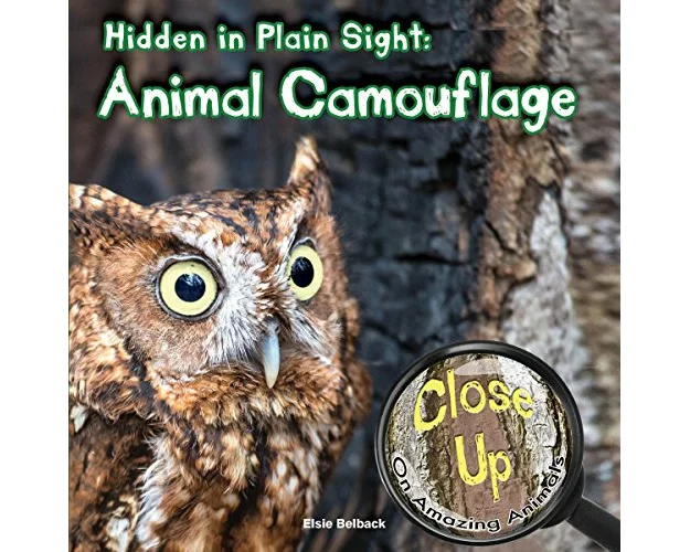 Hidden in Plain Sight