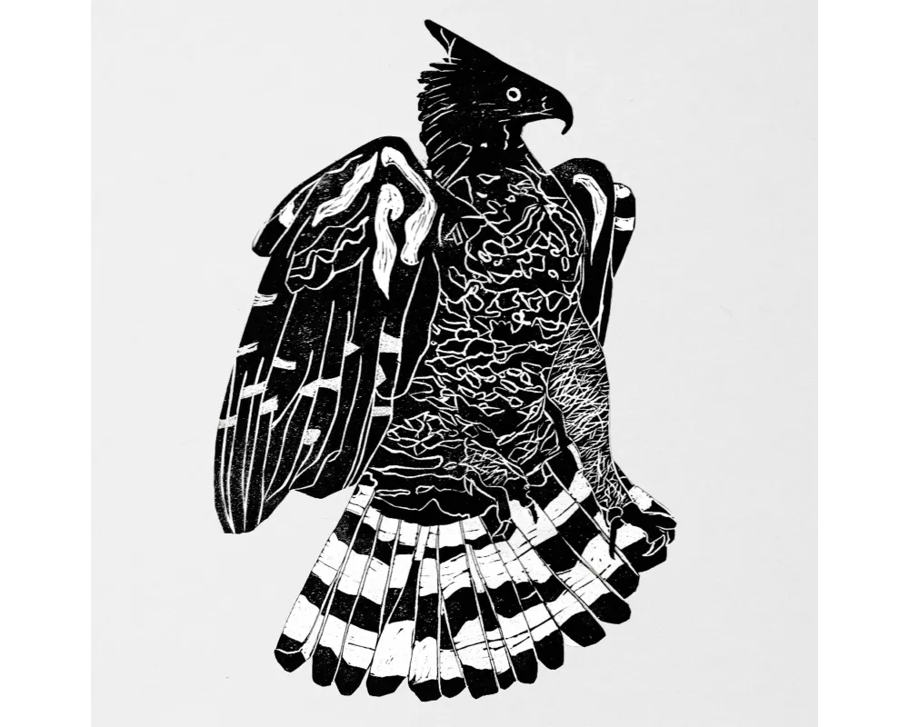 Crowned Eagle