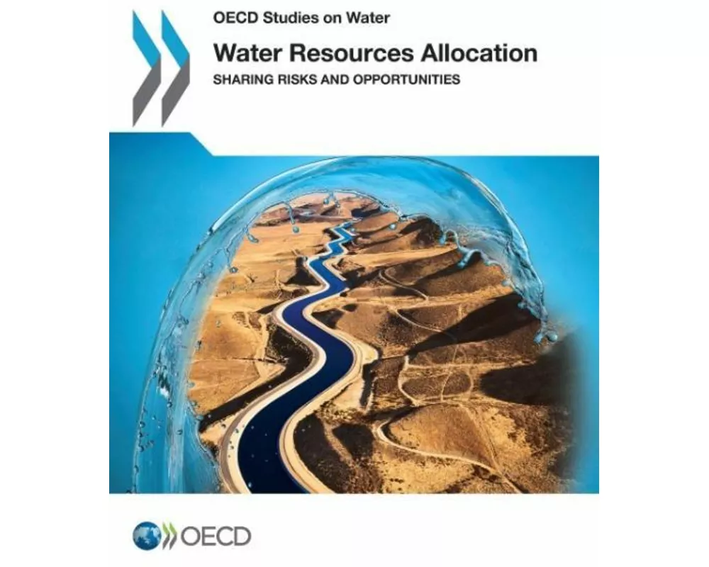 Water Resources Allocation