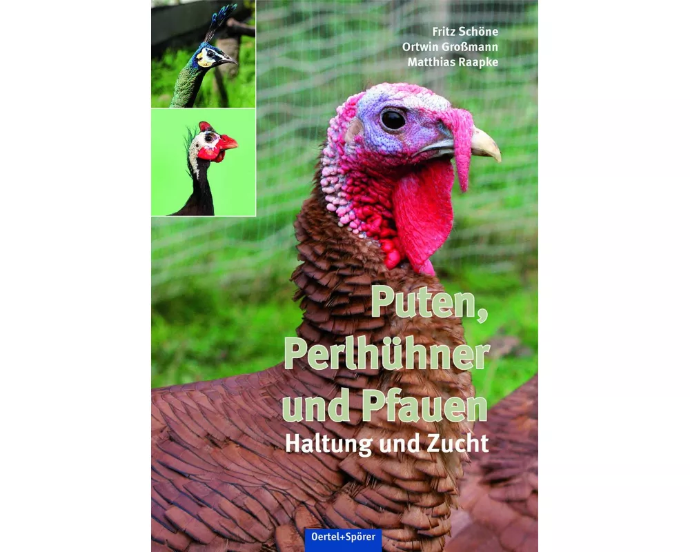 Puten, Perlhühner und Pfauen
