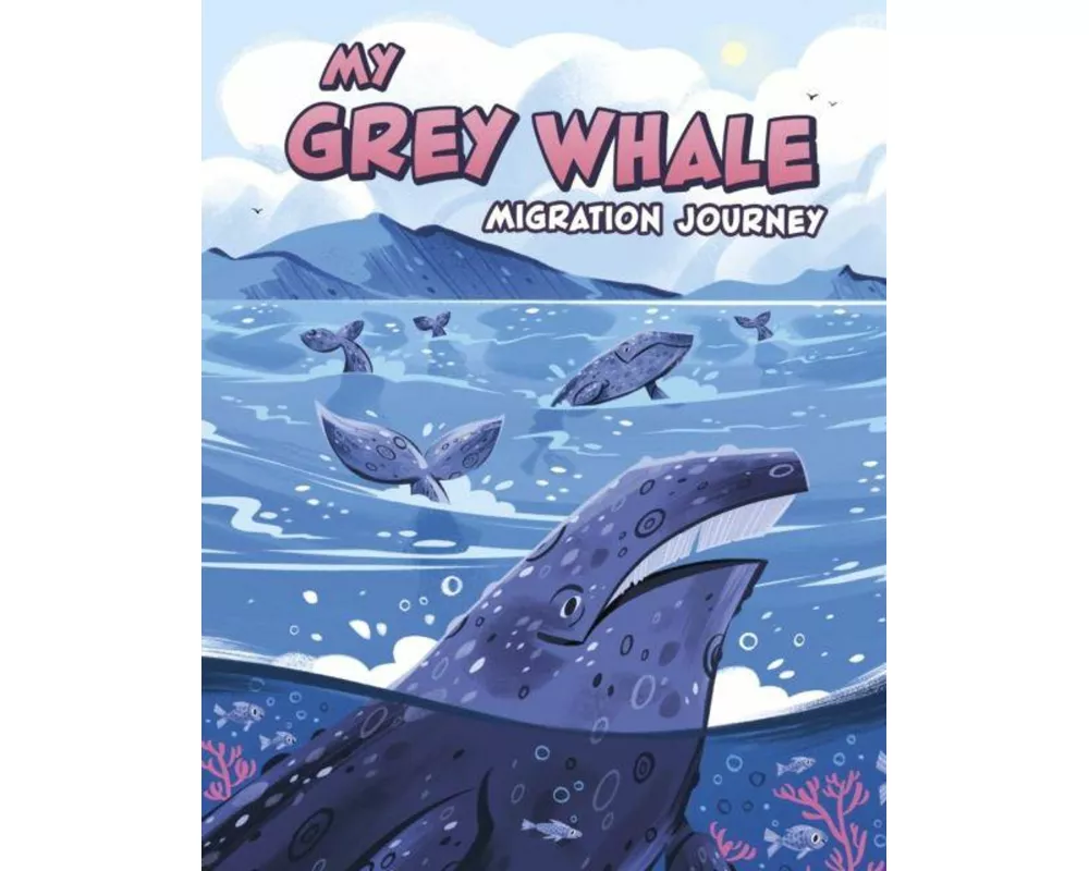 My Grey Whale Migration Journey