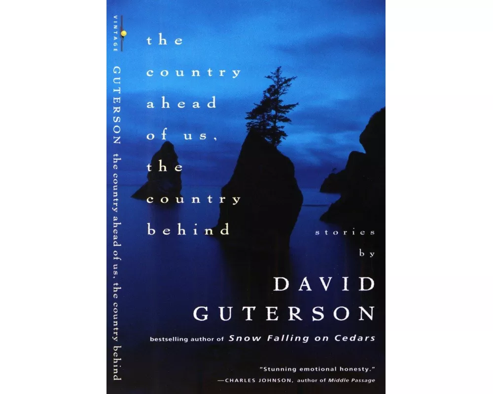 The Country Ahead of Us, the Country Behind