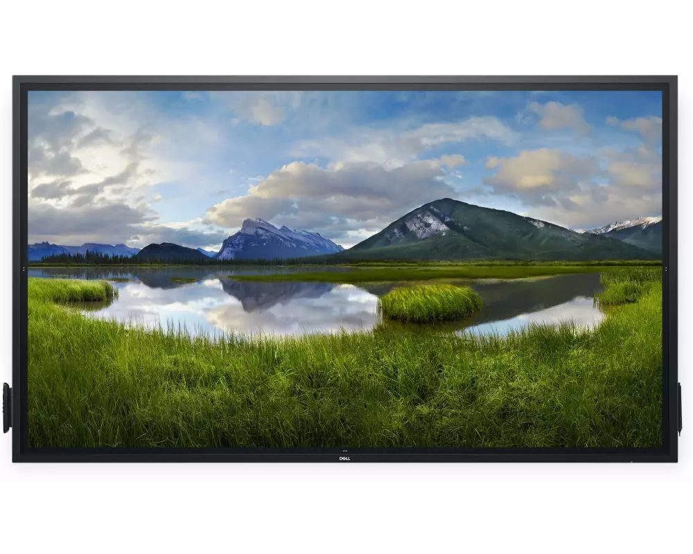 DELL Monitor P8624QT ohne Standfuss