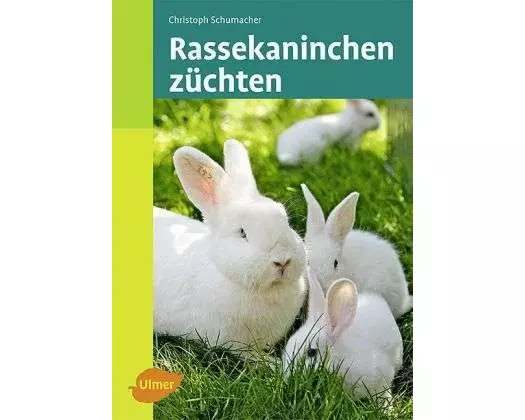 Rassekaninchen züchten