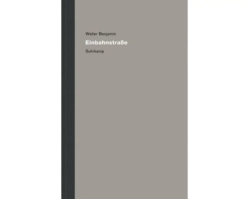 Werke und Nachlaß. Kritische Gesamtausgabe