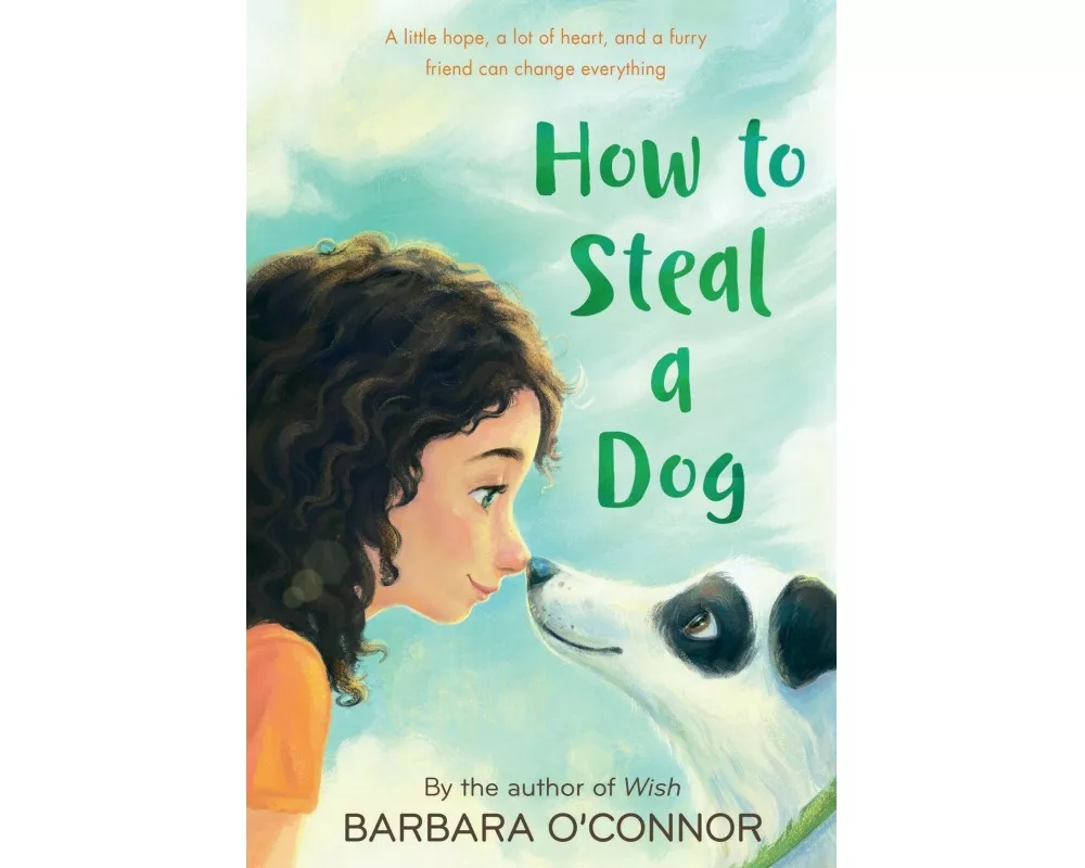 How to Steal a Dog