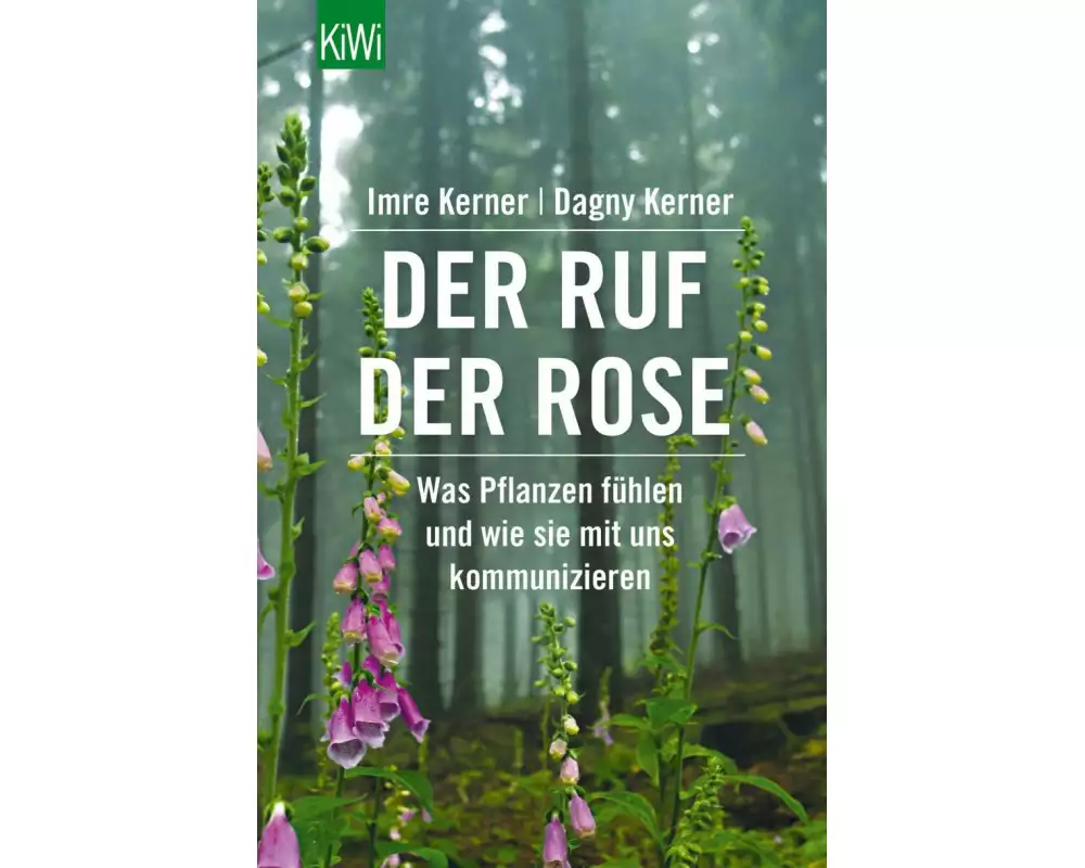 Der Ruf der Rose