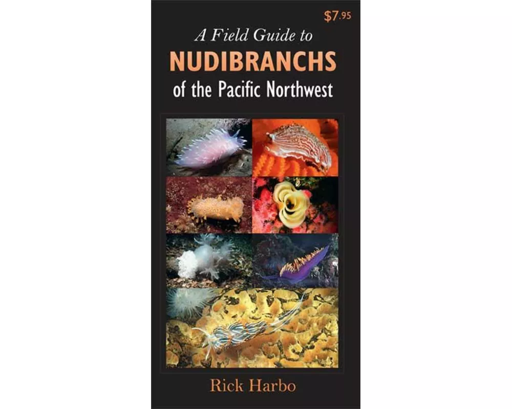 A Field Guide to Nudibranchs of the Pacific Northwest