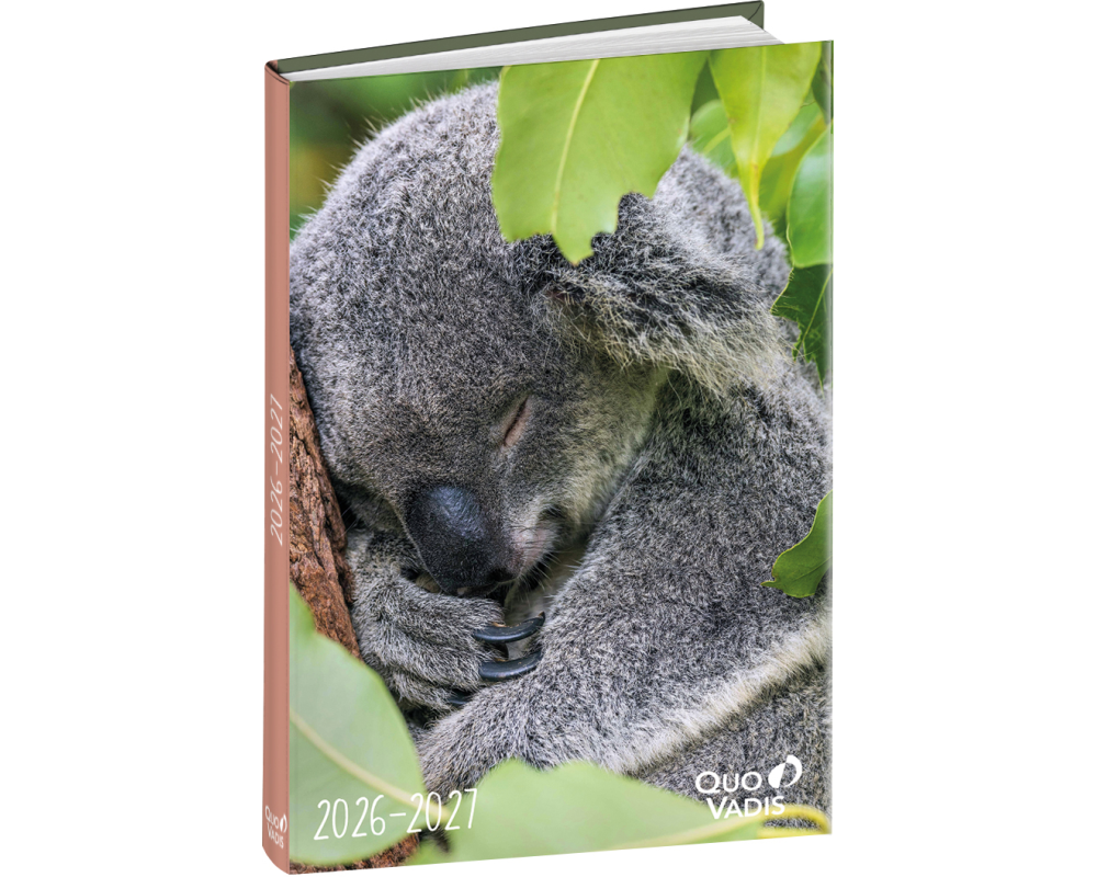 QUO-VADIS Eurotextagenda Koala 26/27 1282705Q 1T/1S 12M ML 12x17cm