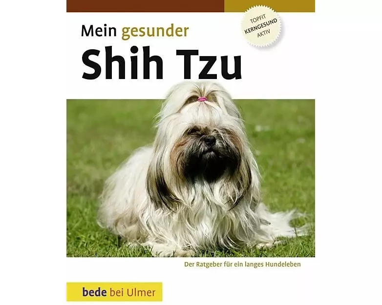 Mein gesunder Shih Tzu