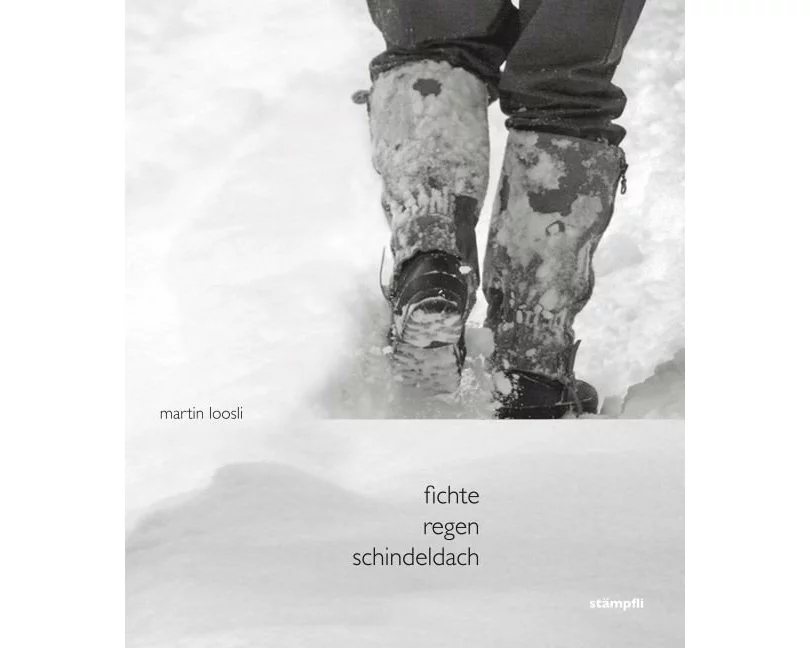 Fichte Regen Schindeldach