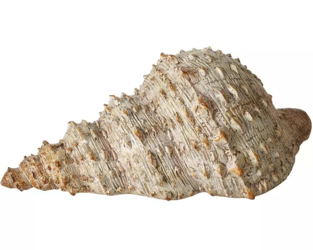 Boltze Aufsteller Muschel Bigo Beige