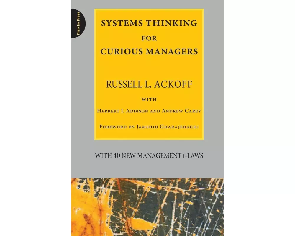 Systems Thinking for Curious Managers