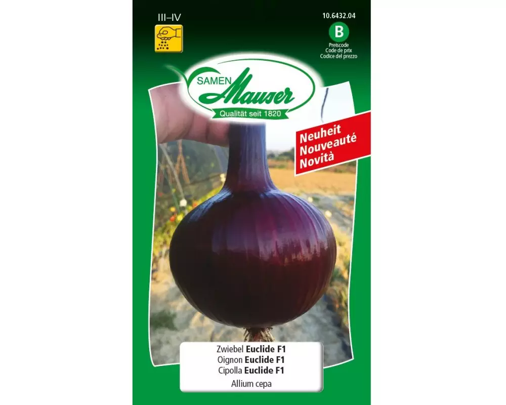 Samen Mauser Samen Zwiebel Euclide F1