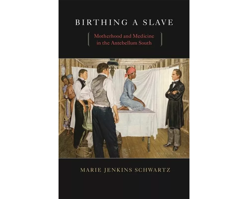 Birthing a Slave