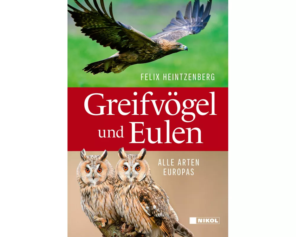 Greifvögel und Eulen