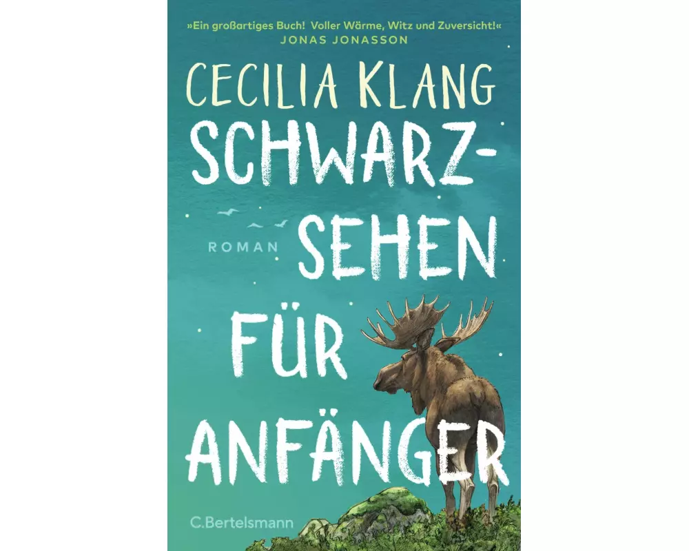 Schwarzsehen für Anfänger