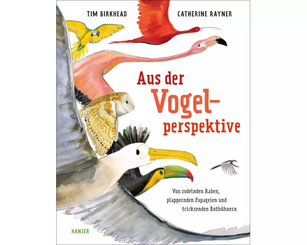 Aus der Vogelperspektive