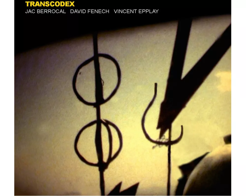 Transcodex
