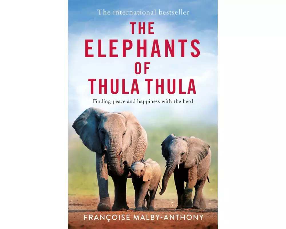 The Elephants of Thula Thula