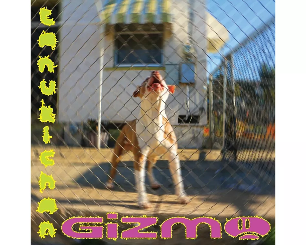 Gizmo
