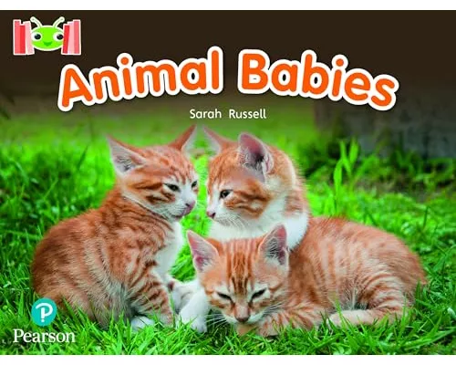 Bug Club Reading Corner: Age 4-7: Animal Babies