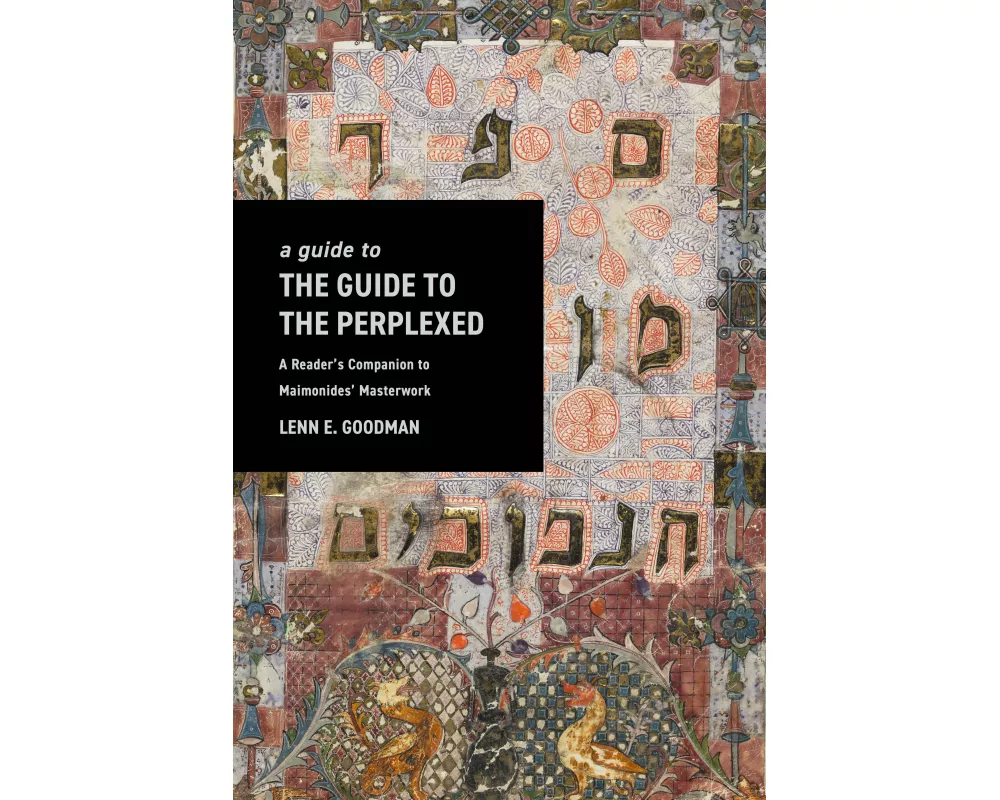 A Guide to the Guide to the Perplexed