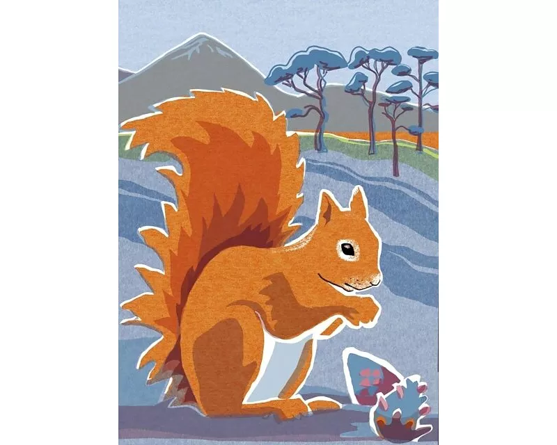 Nature Notebook: Red Squirrel