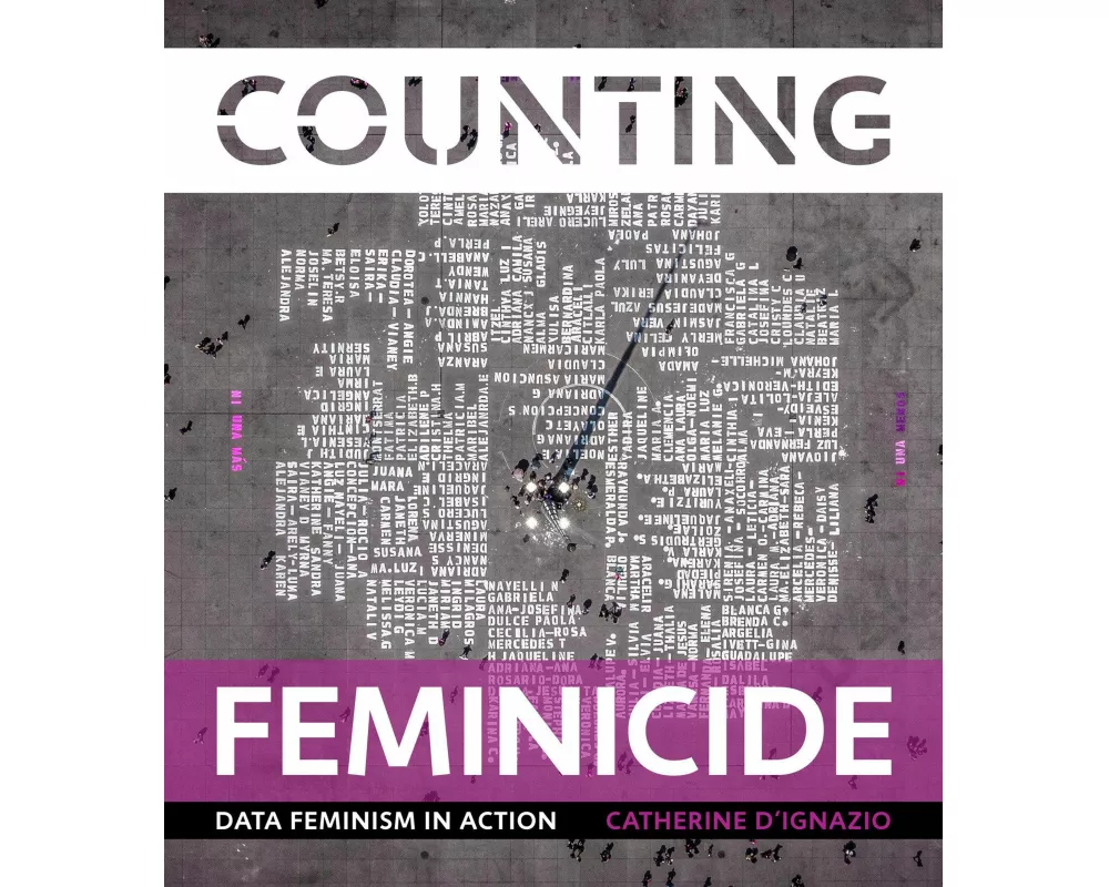 Counting Feminicide